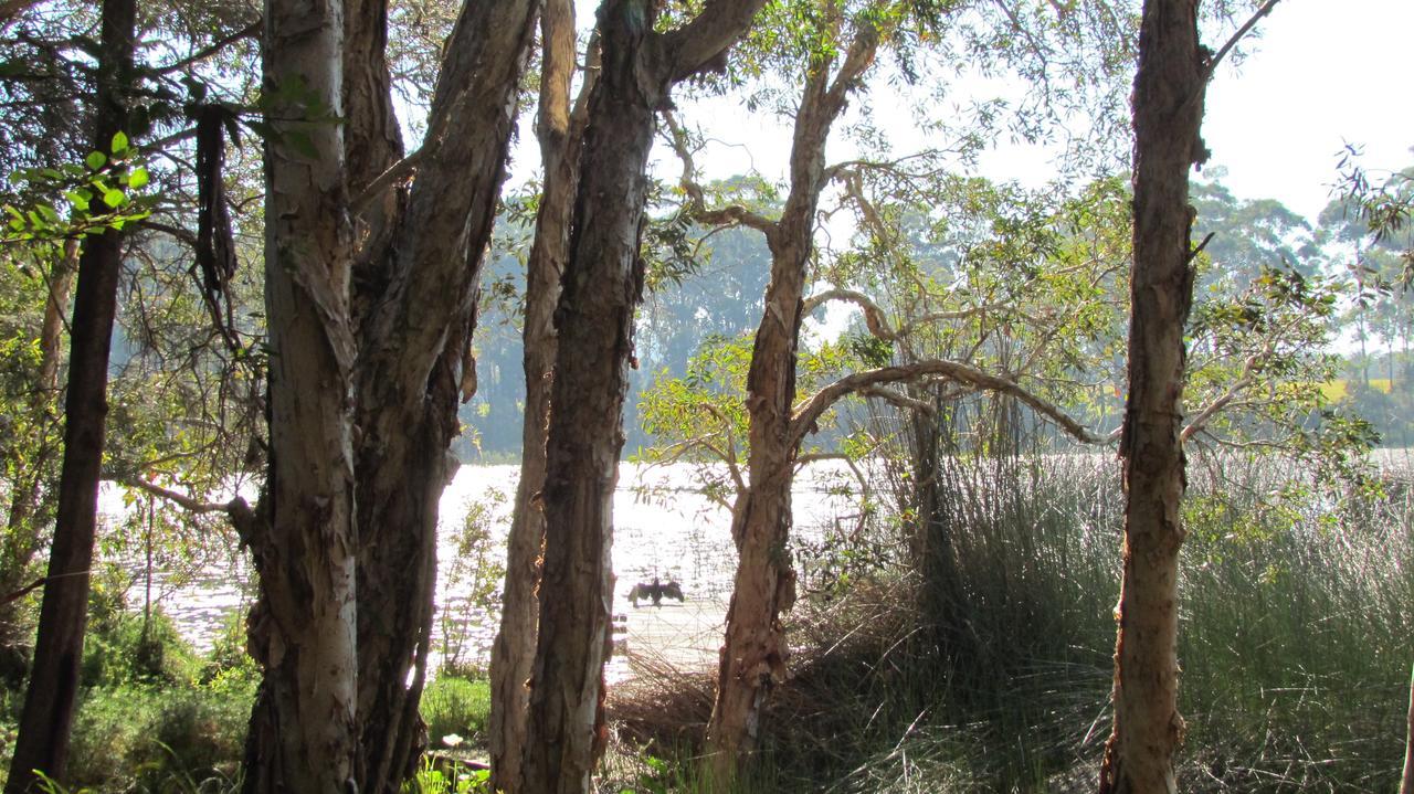 إميرالد بيتش Lake Russell Retreat المظهر الخارجي الصورة